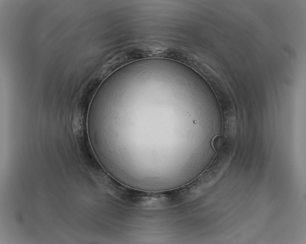 X0000113130274200909181715