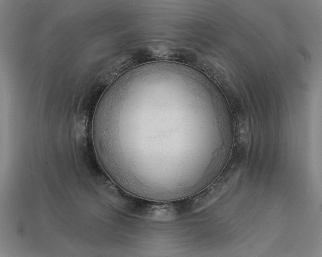 X0000113130275200909181715