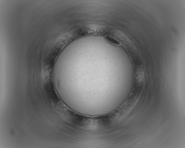 X0000113130276200909181715