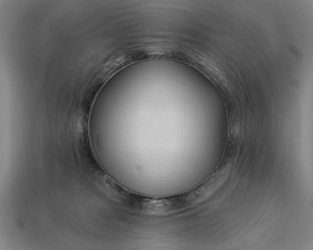 X0000113130277200909181715