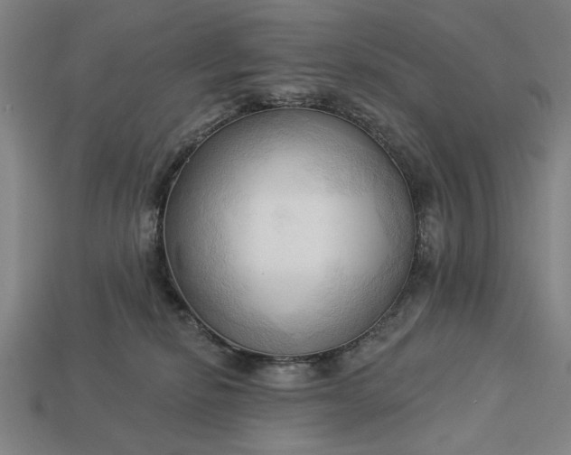 X0000113130278200909181715