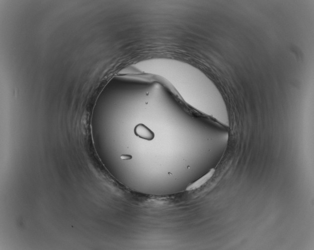 X0000113130280200909181715