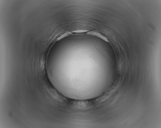 X0000113130282200909181715