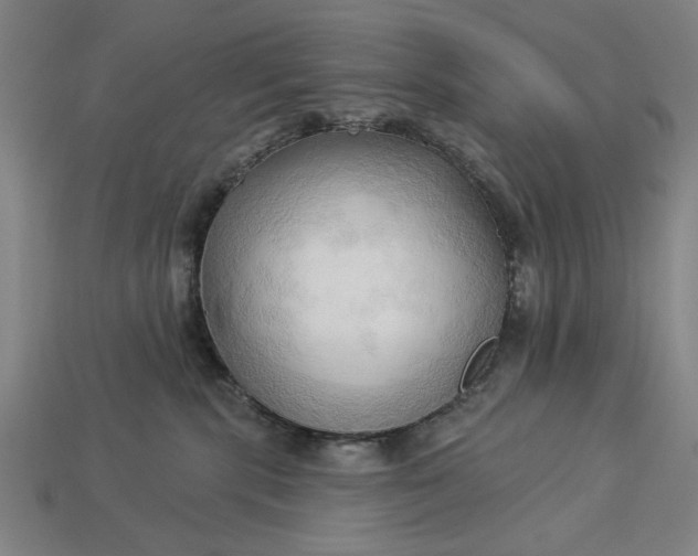 X0000113130283200909181715