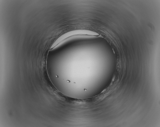 X0000113130284200909181715