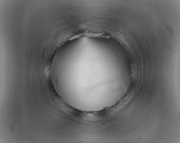 X0000113130285200909181715