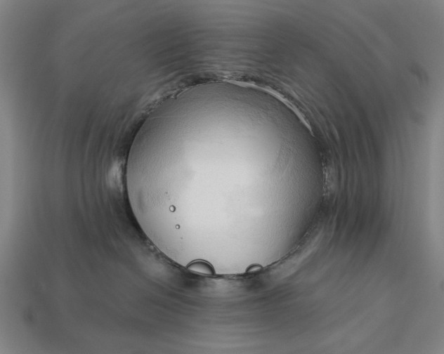 X0000113130286200909181715