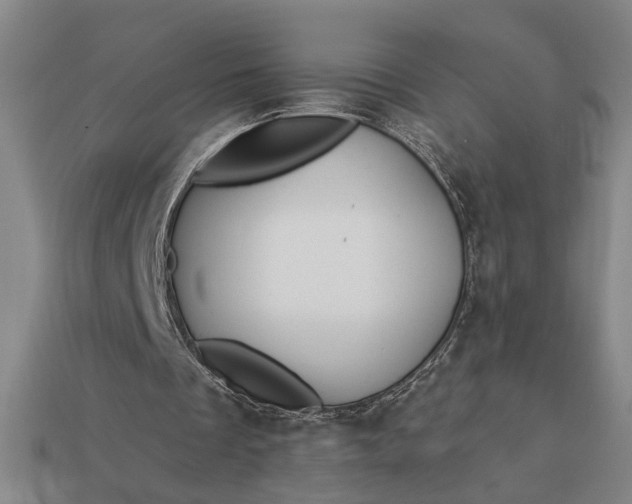 X0000113130289200909181715