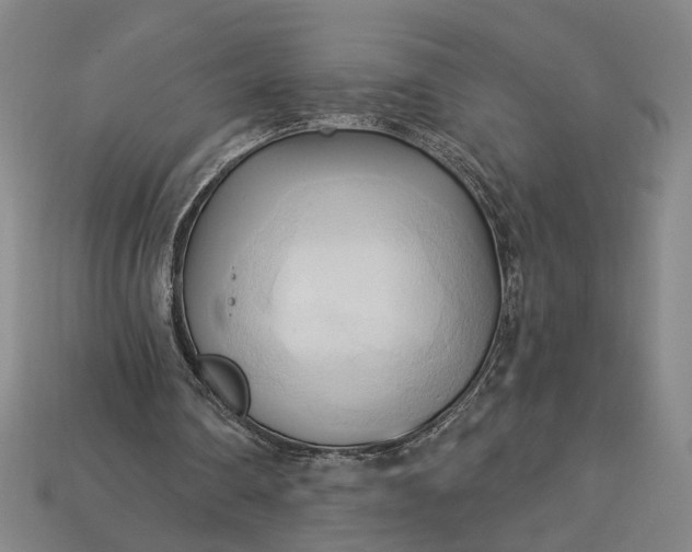 X0000113130290200909181715