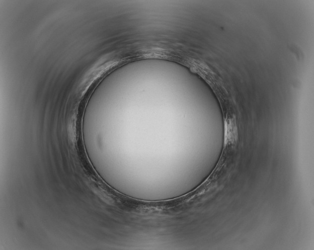 X0000113130291200909181715