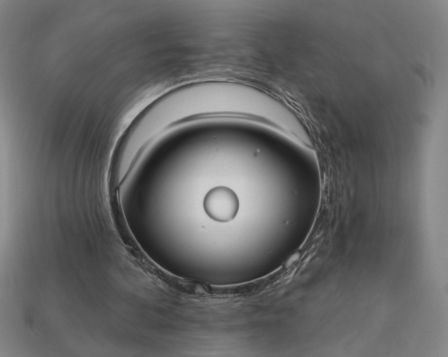 X0000113130292200909181715