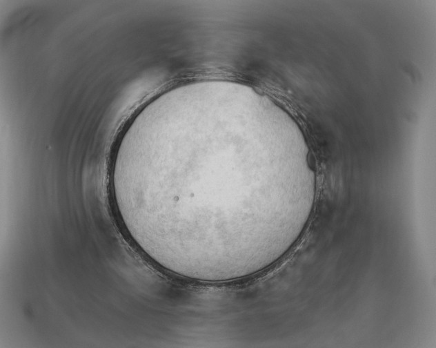 X0000113130293200909181715