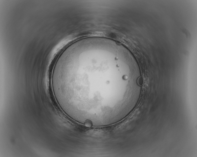 X0000113130294200909181715