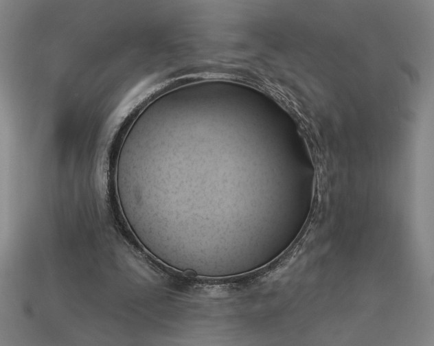 X0000113130295200909181715