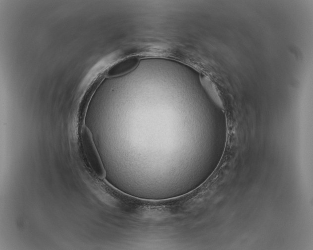 X0000113130296200909181715