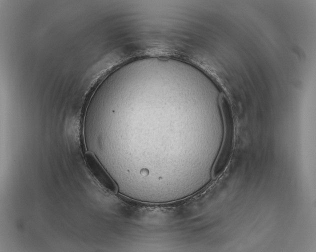 X0000113130297200909181715