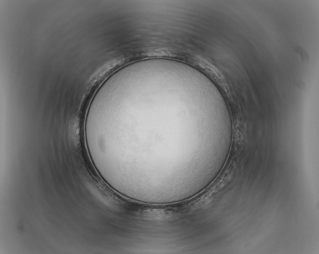 X0000113130298200909181715