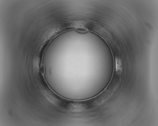 X0000113130300200909181715