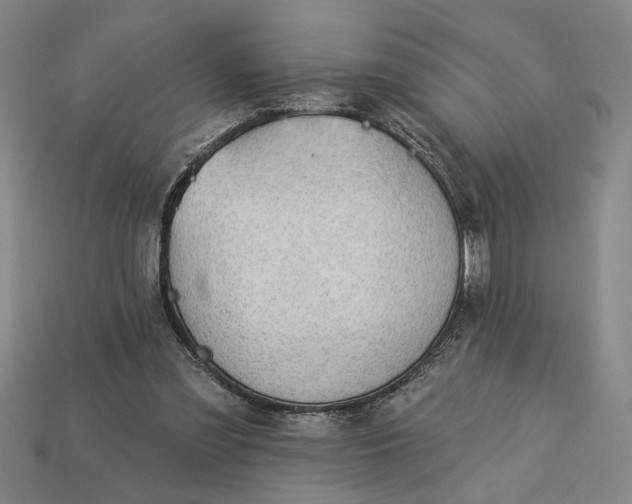 X0000113130301200909181715