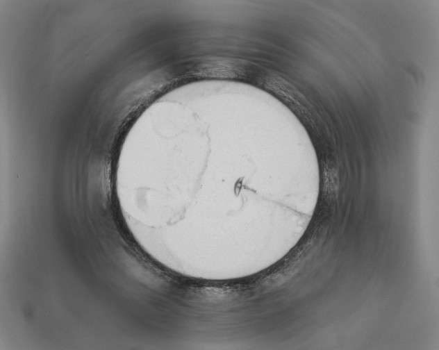 X0000113130302200909181715