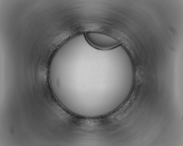 X0000113130305200909181715