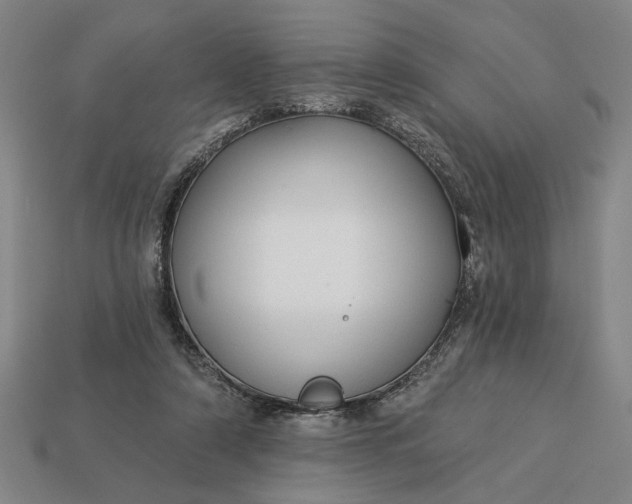 X0000113130306200909181715