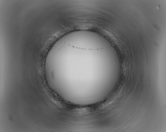 X0000113130307200909181715