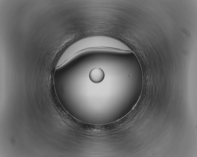 X0000113130308200909181714