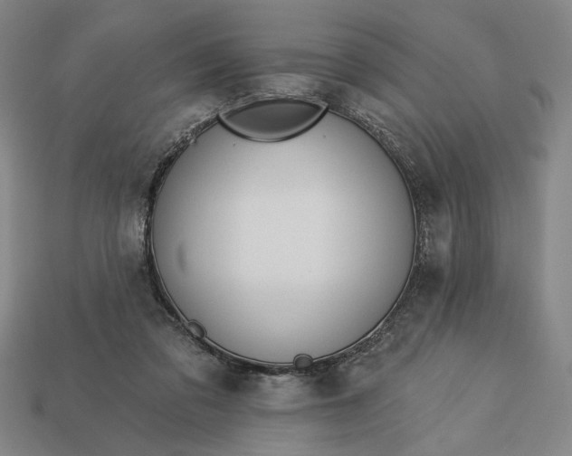 X0000113130309200909181714