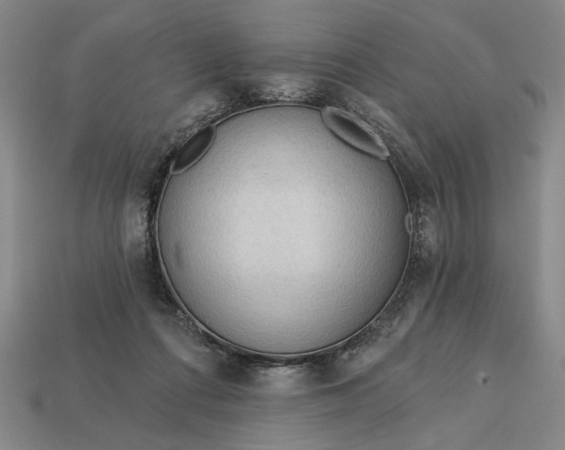 X0000113130312200909181714