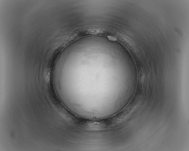 X0000113130315200909181714