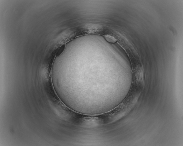 X0000113130316200909181714