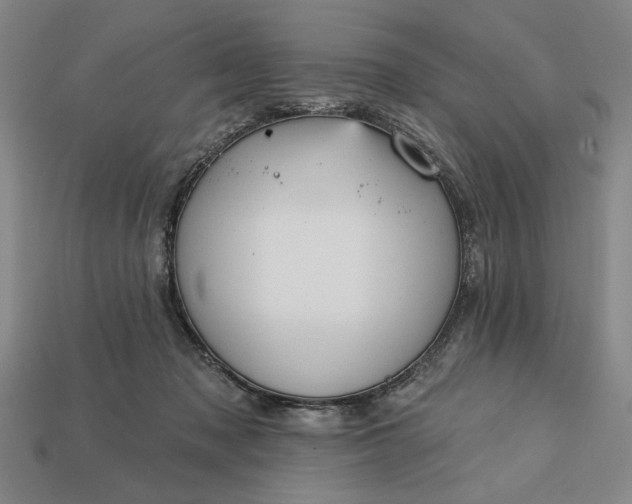 X0000113130317200909181714