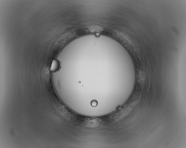 X0000113130321200909181714