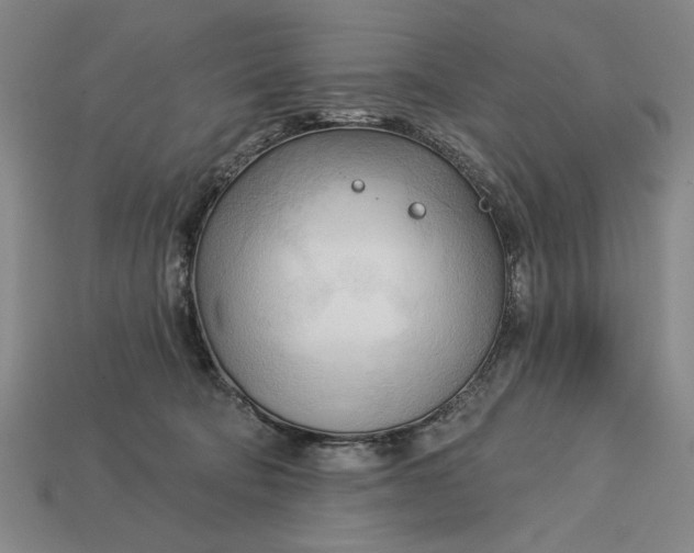 X0000113130322200909181714