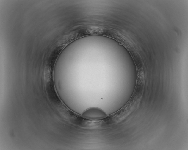 X0000113130323200909181714