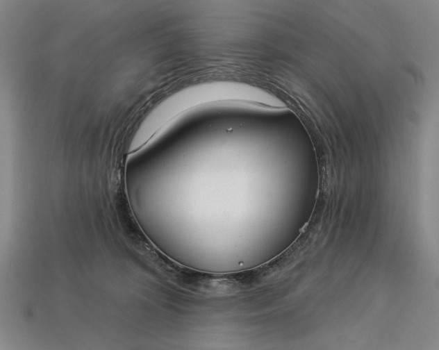 X0000113130324200909181714