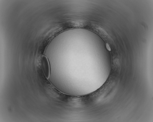 X0000113130325200909181714