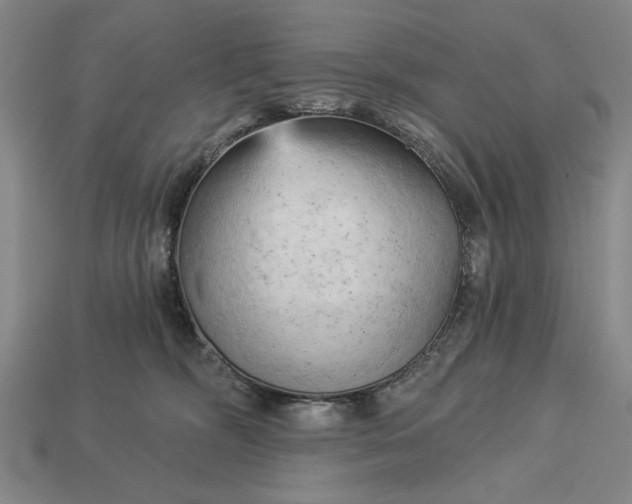 X0000113130326200909181714