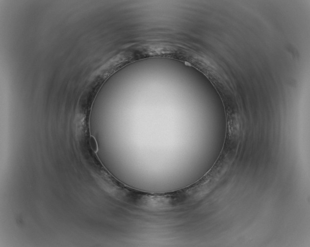 X0000113130327200909181714