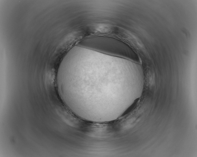 X0000113130328200909181714