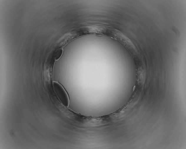 X0000113130329200909181714