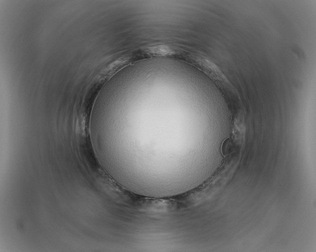 X0000113130330200909181714