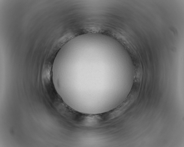 X0000113130334200909181714