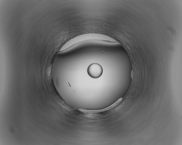 X0000113130336200909181714