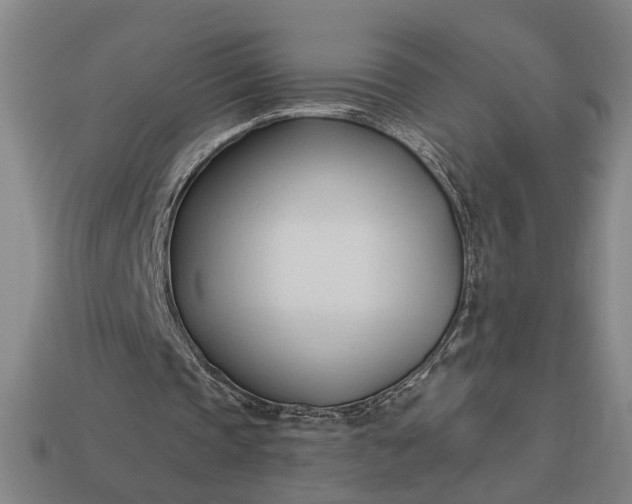 X0000113130337200909181714