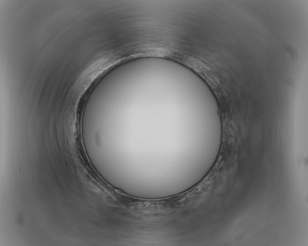 X0000113130338200909181714