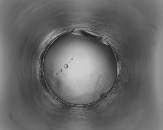 X0000113130339200909181714