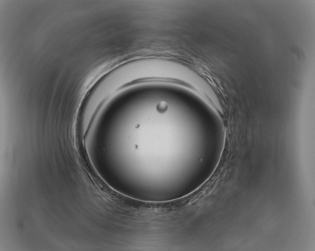 X0000113130340200909181714