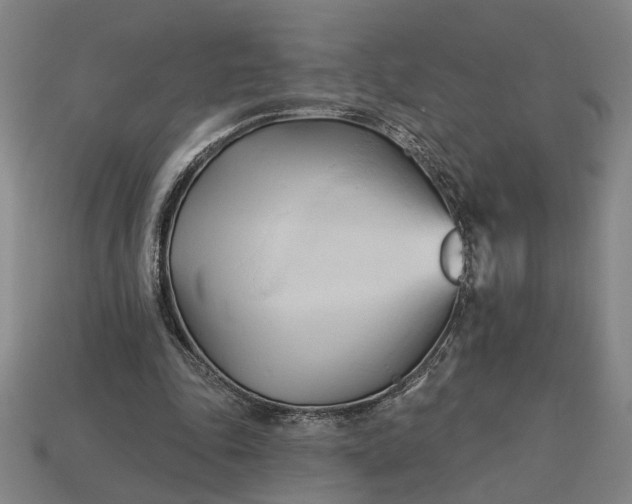 X0000113130343200909181714